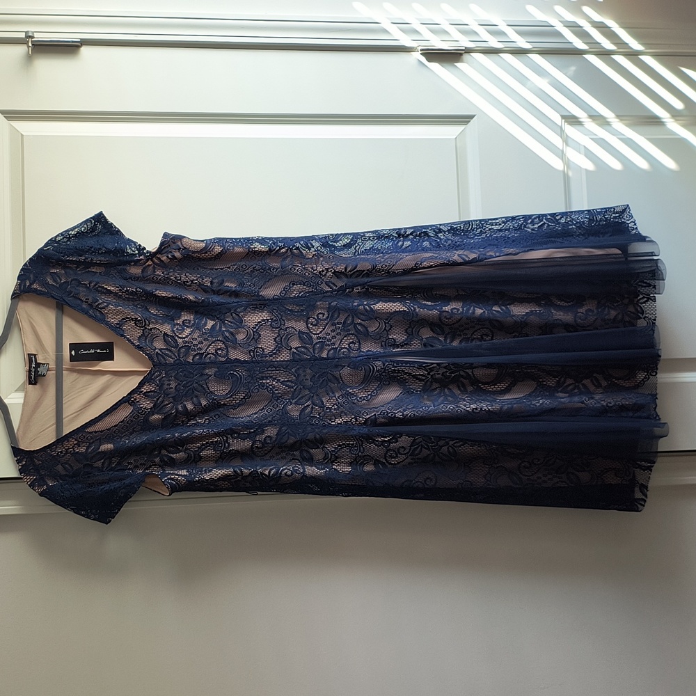 Tan and navy sleeveless dress